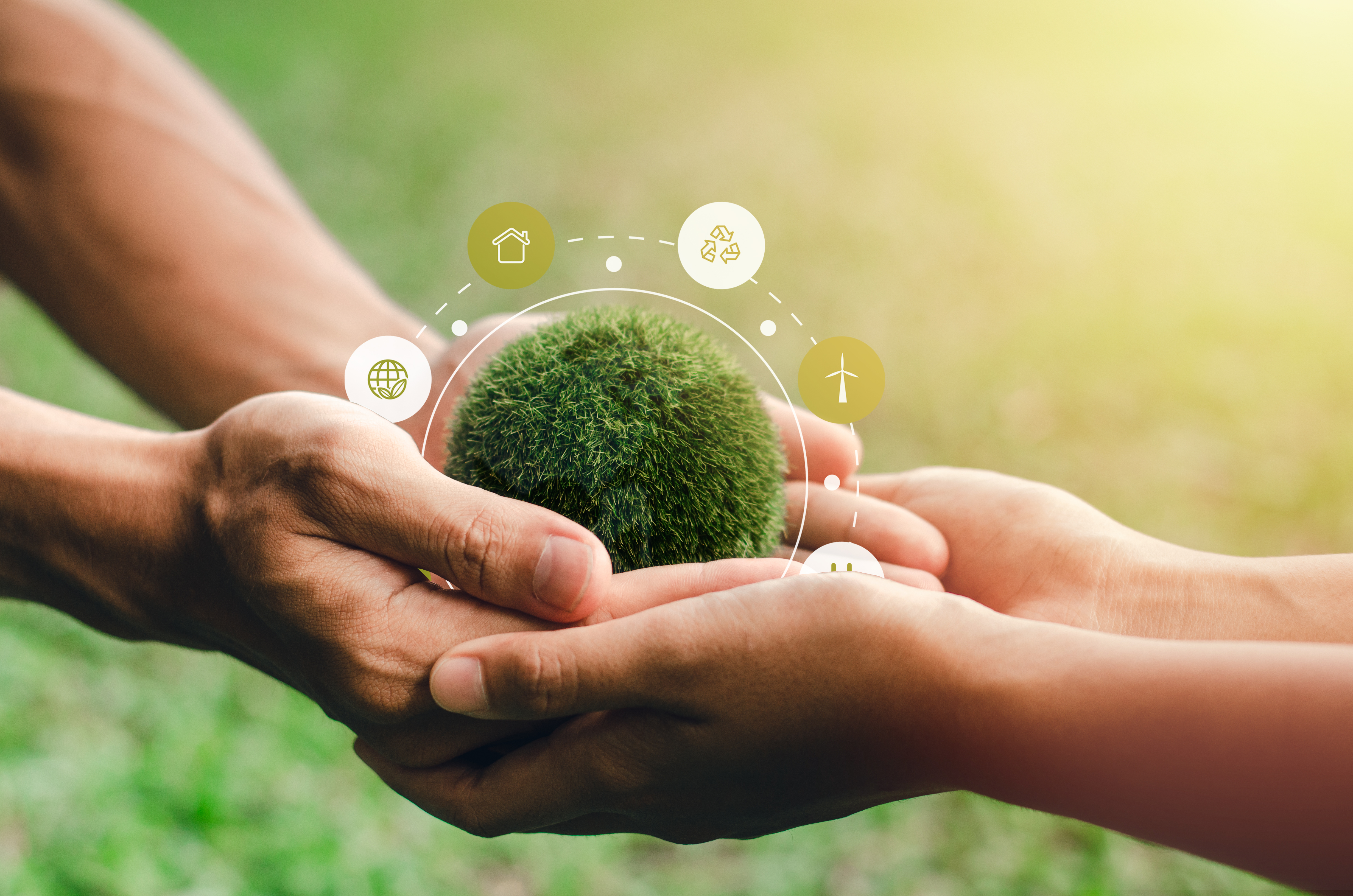 Economia Verde